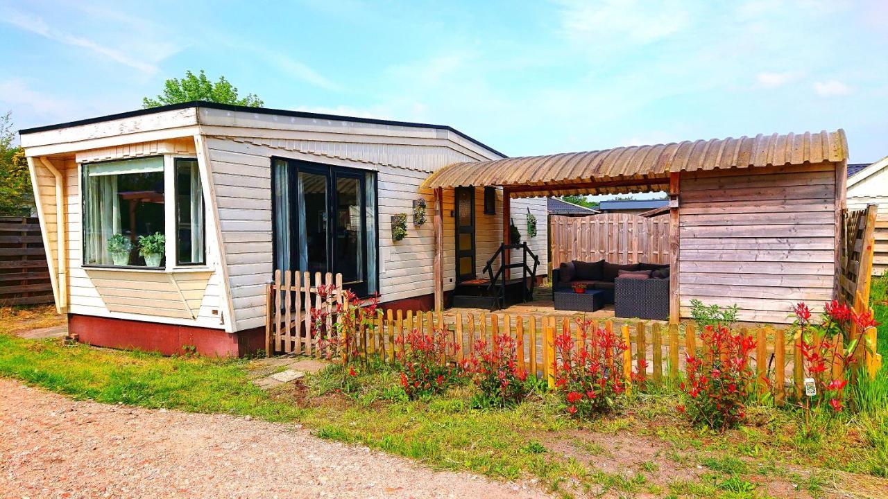 *Butterfly* Heerlijke Chalet Met Omheinde Tuin In Bosrijke Omgeving. Βίλα Anloo Εξωτερικό φωτογραφία